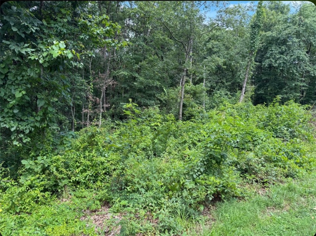 Stunning residential lot in Northeast Bella Vista! This quarter-acre lot is relatively flat and has paved road access. Quick access to Lake Brittany and about one mile to The Back 40 trail. This lot is a fantastic opportunity!