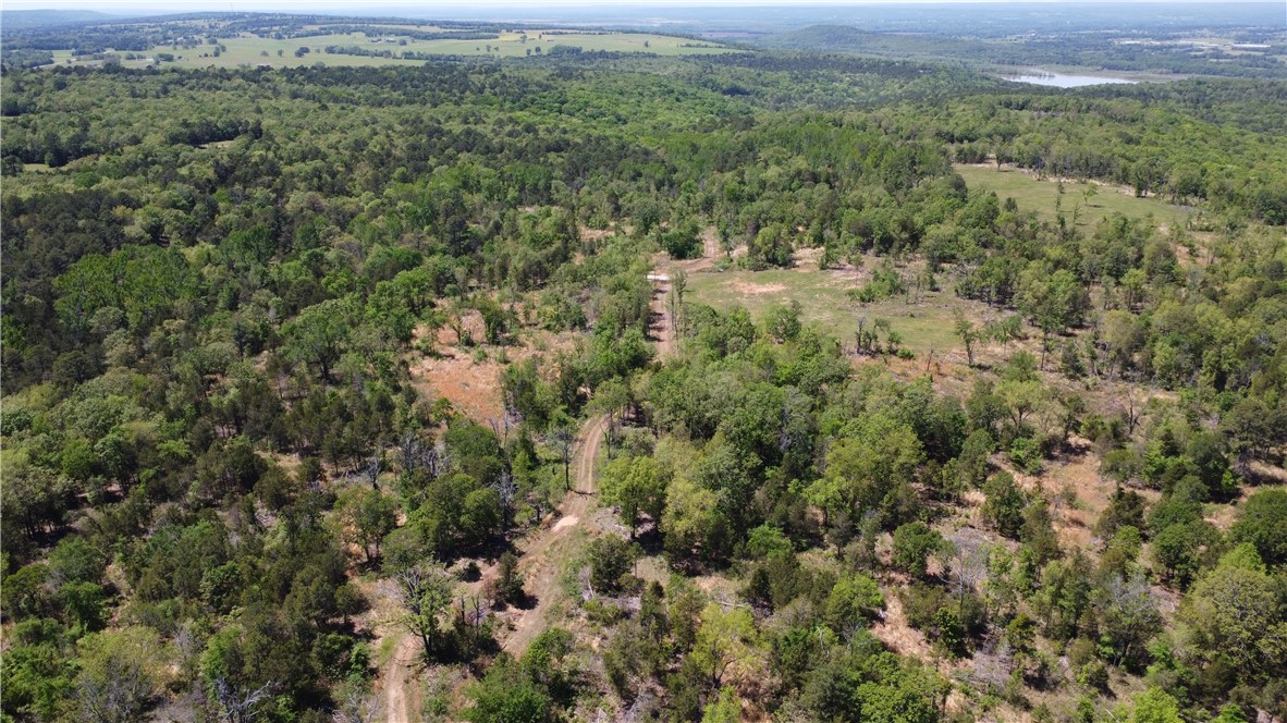 Welcome to The Cecil Prairie ā 242± acres of intensively managed wildlife habitat in Franklin County, Arkansas, along the high banks of the Arkansas River. This game-rich property features native grasses, hardwood draws, loblolly pine, and wet-weather creeks, with food plots and five miles of internal roads for strategic access. A recent prescribed burn and prior timber harvest have created a diverse landscape ideal for deer, turkey, and quail. With a proven track record for trophy whitetails and consistent turkey success, plus a cleared historic homestead site perfect for a lodge or cabin, Cecil Prairie offers year-round recreational and investment potential.
Cecil Prairie supports thriving populations of deer, turkey, and black bear, providing year-round recreational potential. Enjoy early fall bear hunts, summer muscadine picking, and unforgettable spring turkey hunts.