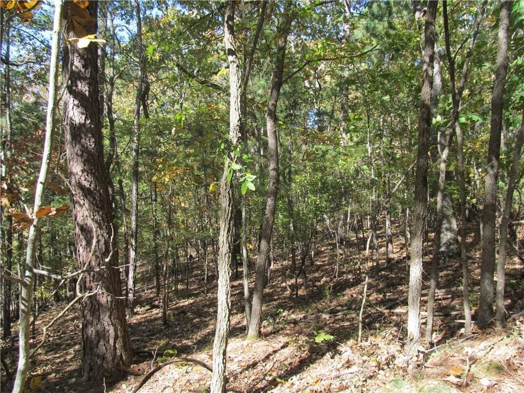 Building lot just minutes from Beaver Lake at Hogscauld Hollow. Just 20 minutes to Eureka Springs. Light restrictions.