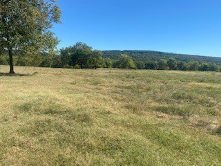 6 acres of pure peacefulness, ready to build on! Lots of gorgeous views, mature trees, and wildlife nearby! 5 minutes to Lincoln Lake and Lake Wedington. Very close to public hunting land!
