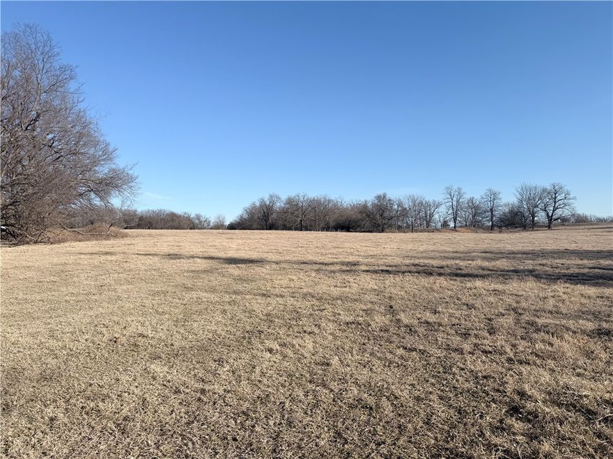 Beautiful scenic 40 acres mostly level some gently rolling acres ready to work for you...you decide its destiny. Cattle, horses, and your dream home will all fit nicely here. 2 ponds on property. Fencing on 3 sides . Several older out buildings and older hay barn. Rural water on HWY 43. Wanting more acreage there is an additional 40 Acres & 2 other ponds adjacent to this parcel's for sale as well. Call for more details. Buyer to verify fiber optic and rural water at street. SEE MLS #1335312 for additional 40 Acres