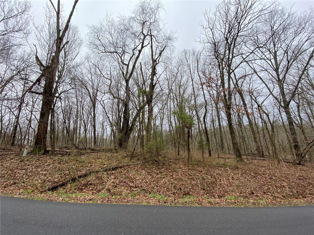 Imagine your home on this beautiful wooded lot! Choose which trees to keep. Wooded ravine behind lot. Close to outdoor activities such as trails for walking, hiking, and biking. Enjoy Lake activities as well!