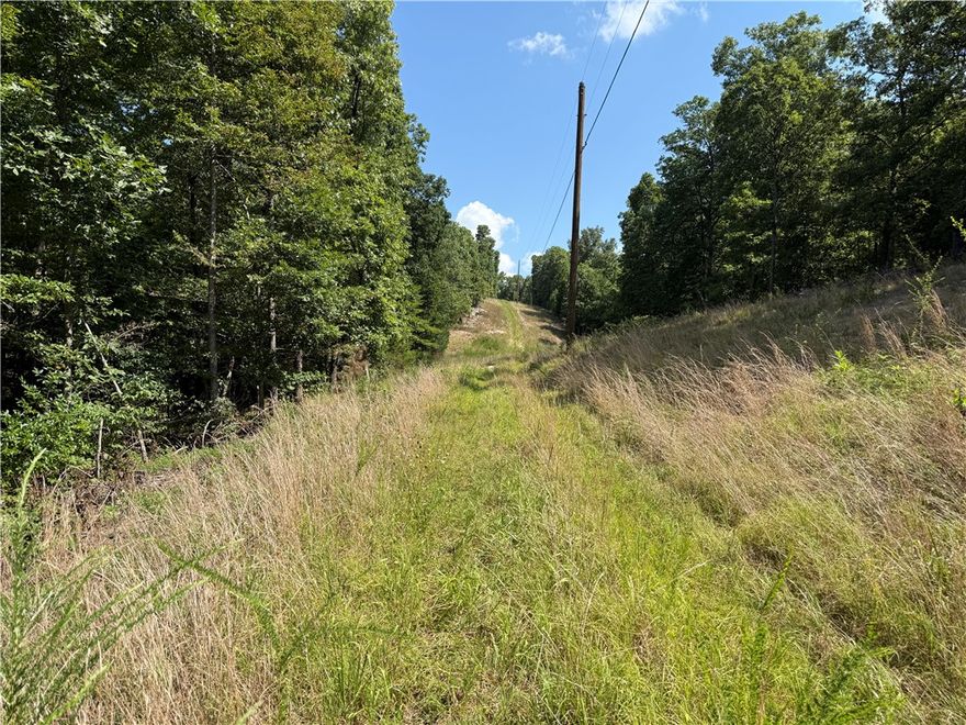 Down a quiet, paved county road in the rolling hills of Carroll County, you’ll find this inviting 7.42-acre tract—full of that classic country charm just south of Berryville, AR. Tucked off Highway 21 on County Road 516, the property is blanketed in mature timber, offering the perfect backdrop for your dream cabin, weekend retreat, or a full-time homeplace. Electric is already on site, so you can get to building without the hassle. You’ll appreciate the peace and privacy of the woods, while still being less than an hour from the conveniences of Springdale—offering a rare blend of seclusion and accessibility. Light, commonsense restrictions are in place to help keep the area clean and neighborly: no mobile homes, no living in tents, campers, or sheds, and homes must be built on a permanent foundation or slab. Utility easements are allowed if needed. Additional lots are available if you're dreaming a little bigger.