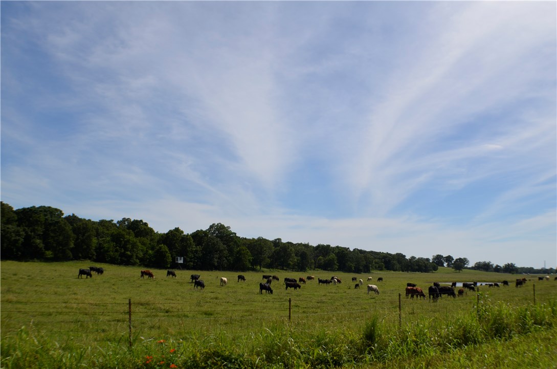 Ozark Orchard Co Sub Rurban - Land