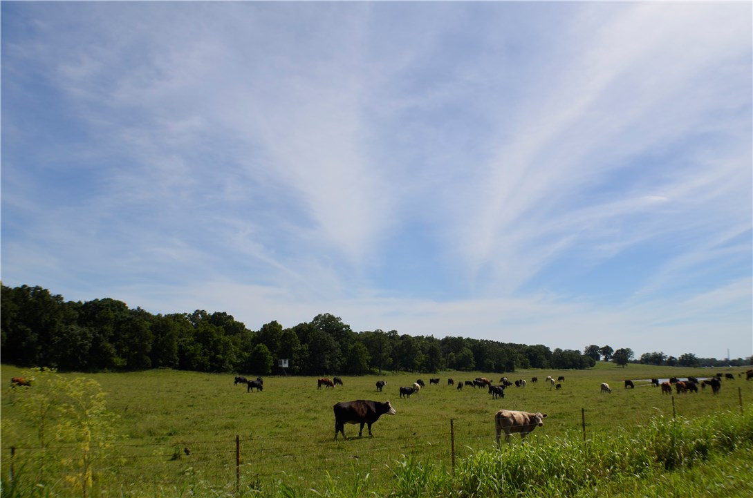 Ozark Orchard Co Sub Rurban - Land
