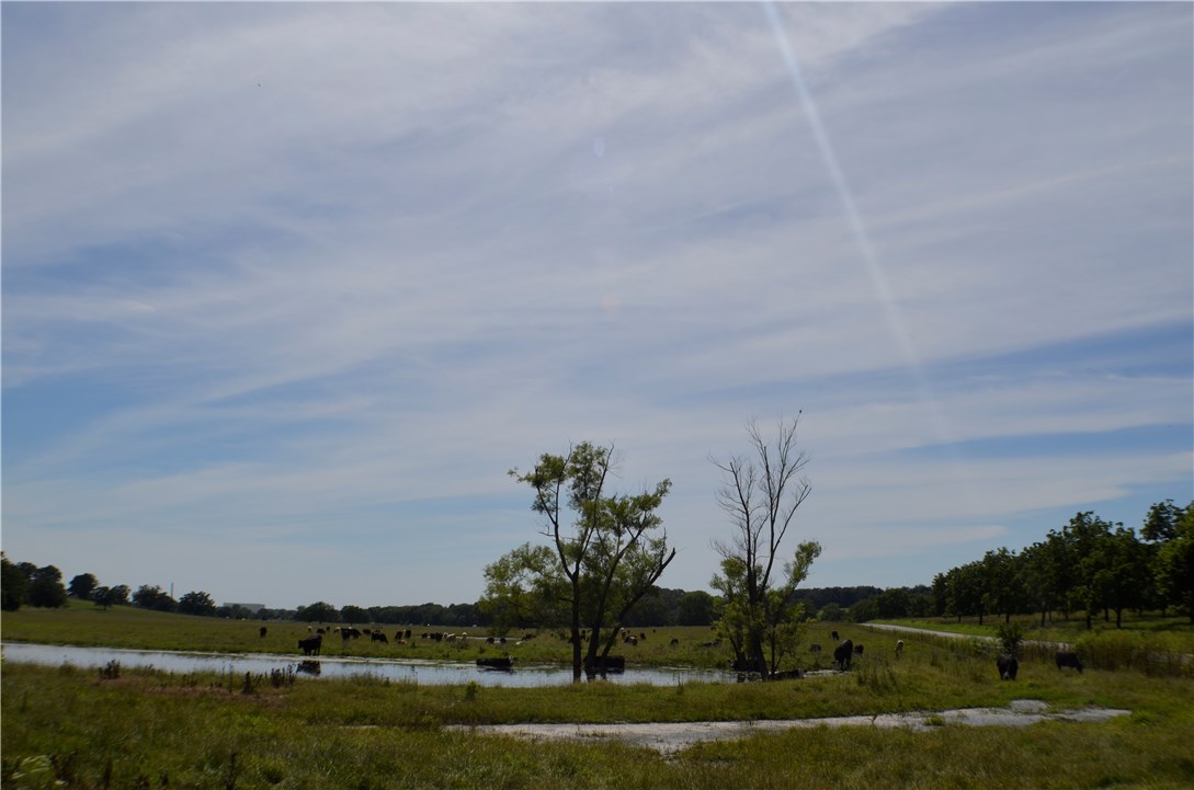 Ozark Orchard Co Sub Rurban - Land
