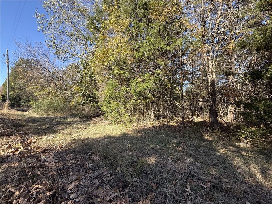 Beautiful 0.18-acre lot located just minutes from Bull Shoals Lake! Enjoy the peace and quiet of the Ozarks with easy access to boating, fishing, and outdoor recreation. Perfect spot to build your weekend getaway or lake retreat.