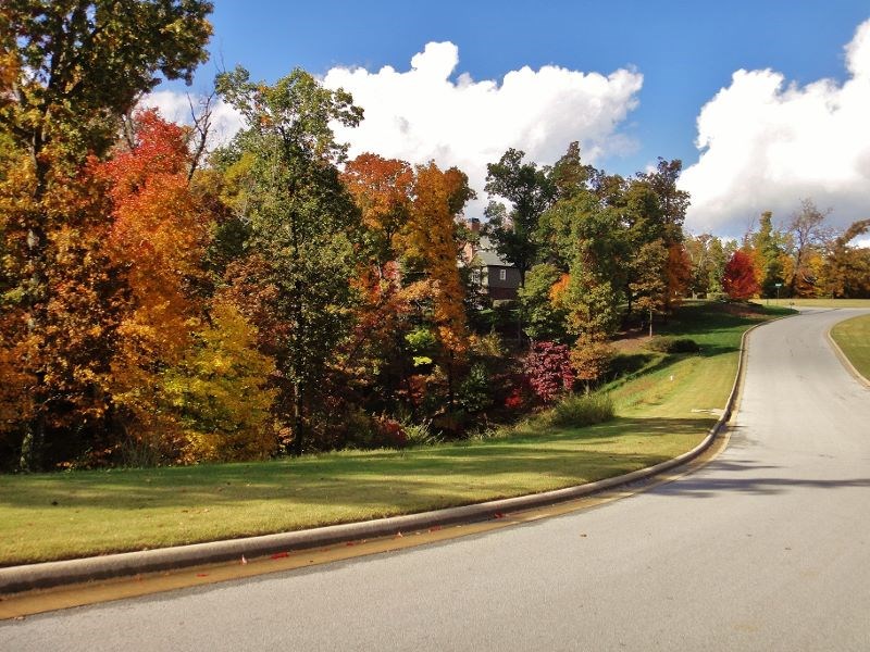 Estates At Dogwood Canyon - Residential