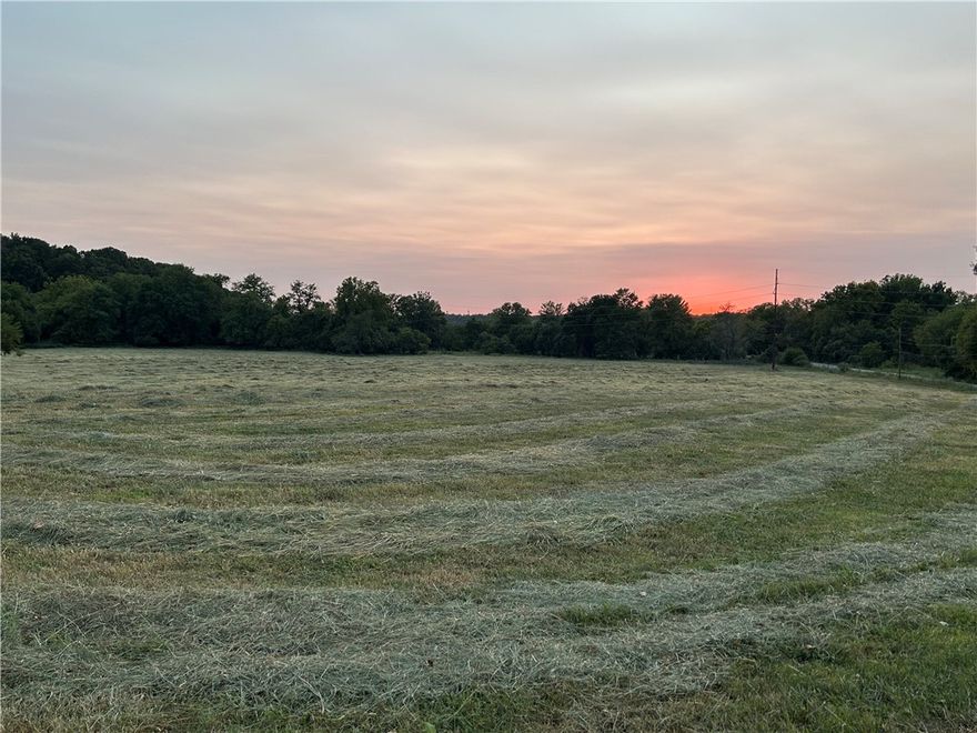 This is a rare and unique 27 acre property in one of Northwest Arkansas's most desired areas. Just a short commute to Bentonville, Fayetteville or Springdale.  Only a few minutes’ drive from Highways 112, 412, 612, and I-49. Brush Creek flows year round through the property and is spring fed. There are several level building sites and plenty of room for a large vegetable garden or fruit trees.  Enjoy the rear wooded area of wildlife habitat and the beautiful sunrises and sunsets.  Elm Springs offers many amenities including a fishing lake, walking trails and a park just minutes away.  City water, gas, electric and cable are at the street in front of the property.  Onsite septic needed.  A new tax parcel number will be issued following split from MLS # 1275786