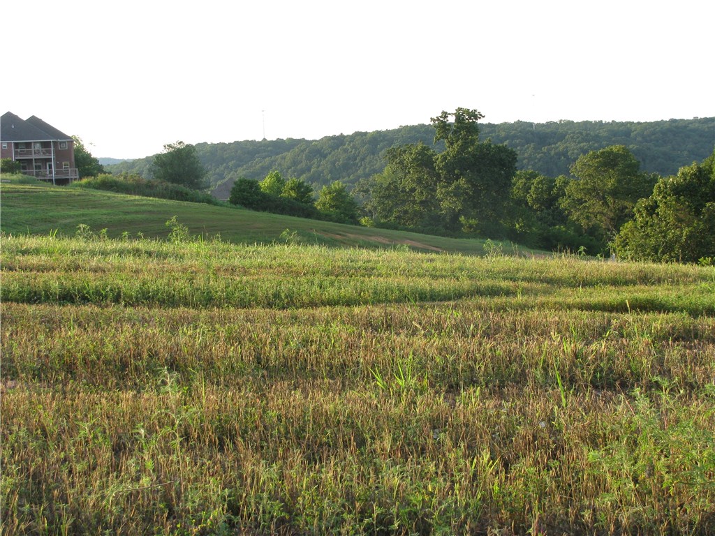 Outstanding One Acre Lot in the Gated Community of Creekstone Estates. Beautiful private & peaceful location only minutes away to Trails & Downtown Bentonville. Come See why Creekstone Estates is the place to come home to.