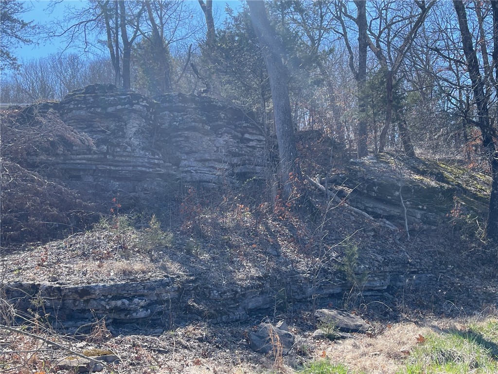 Mo Ark View Estates - Land