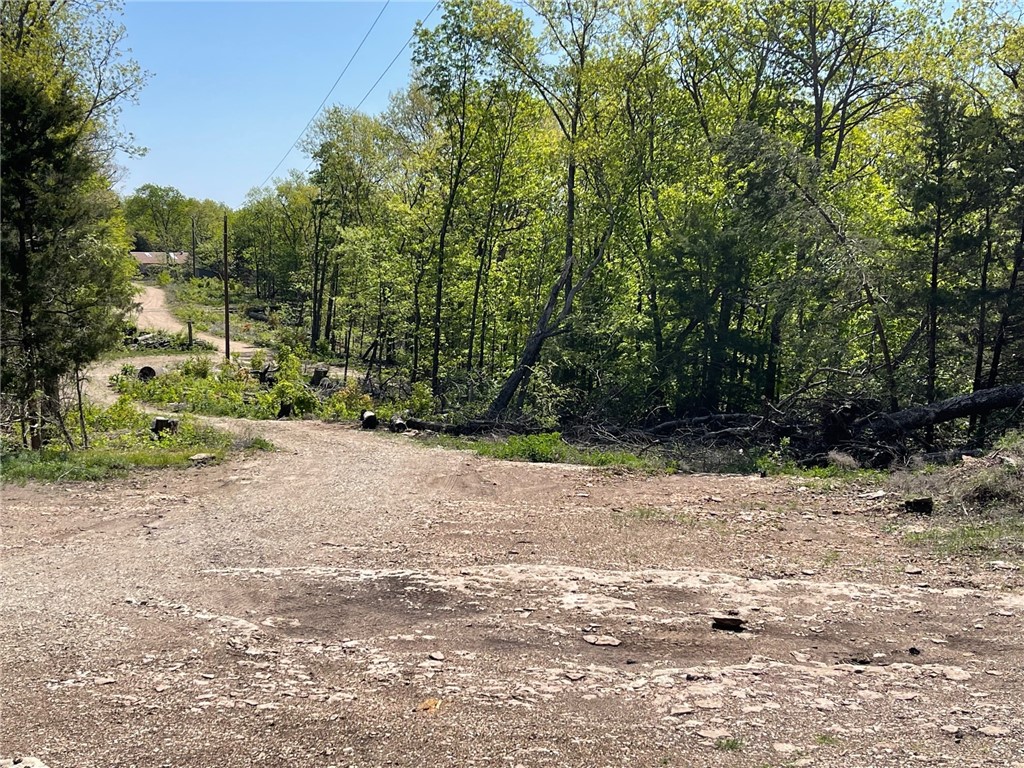 Mo Ark View Estates - Land