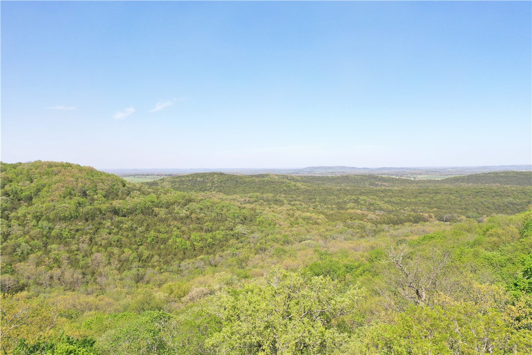 Mo Ark View Estates - Land