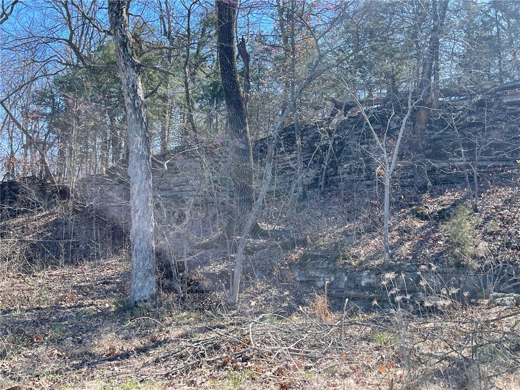 Mo Ark View Estates - Land