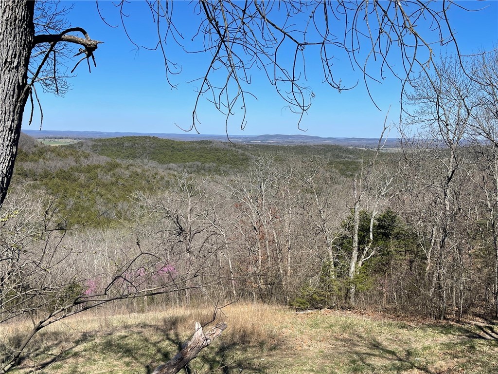 Mo Ark View Estates - Land