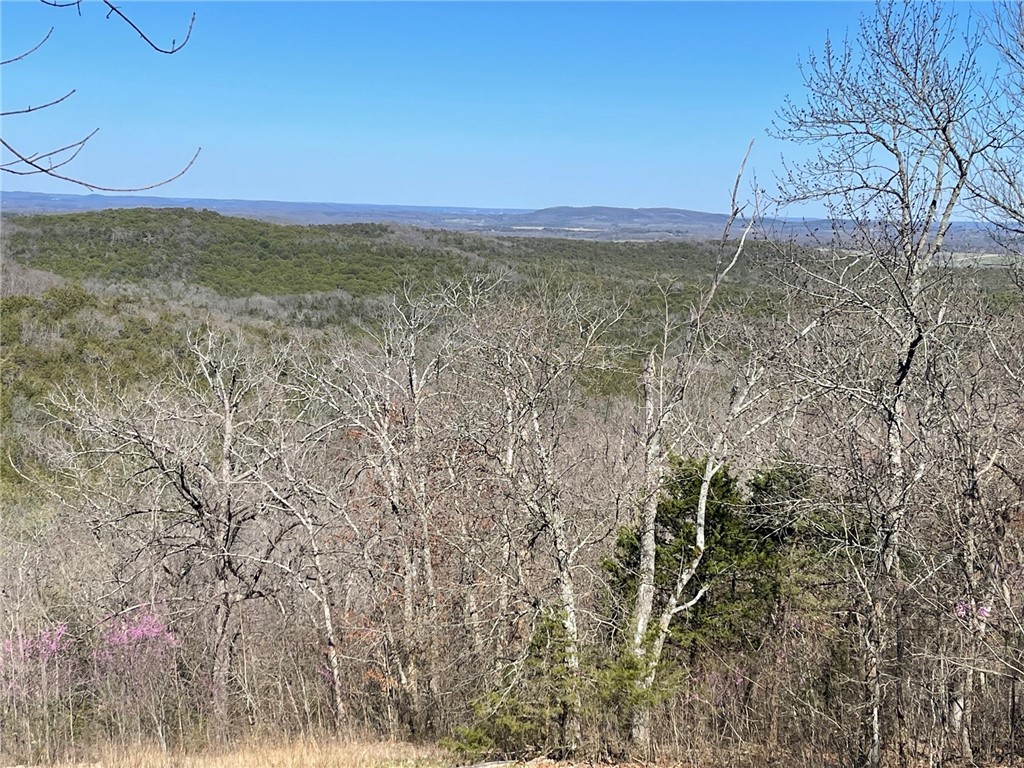 Mo Ark View Estates - Land