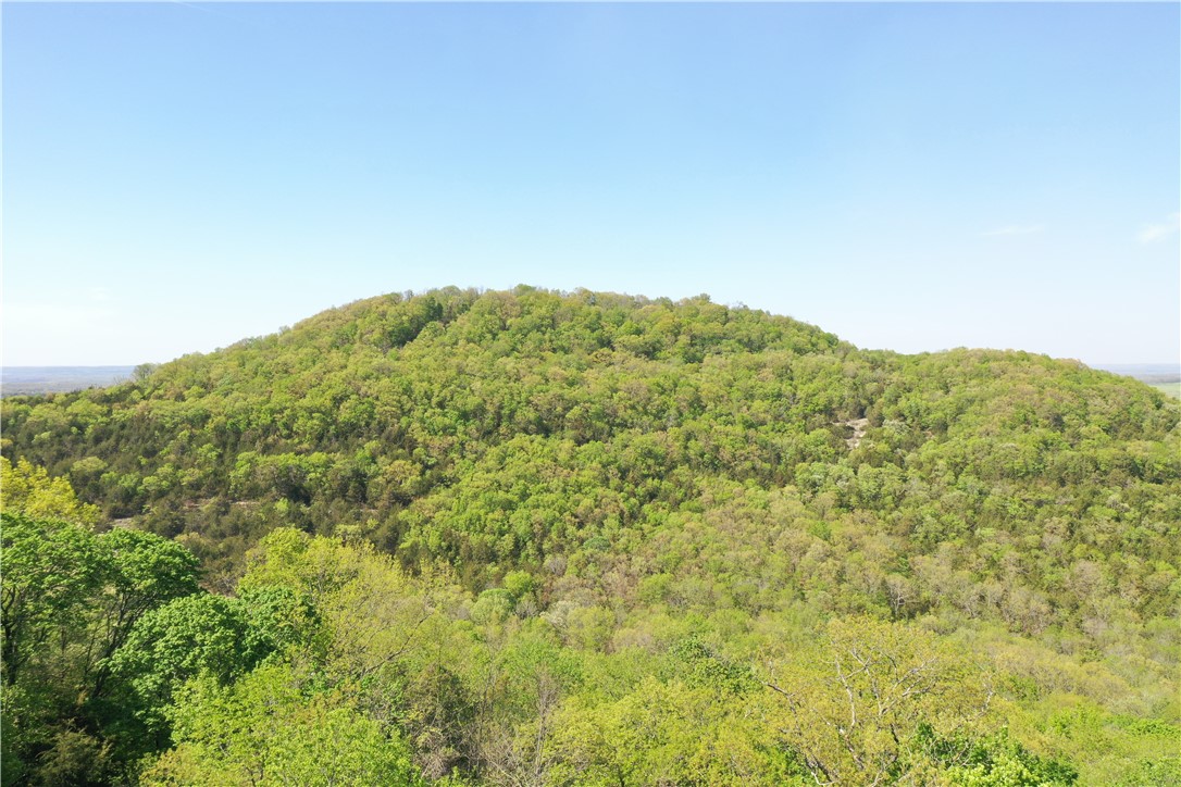 Mo Ark View Estates - Land