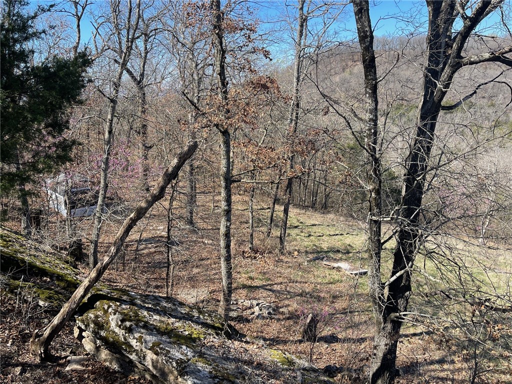 Mo Ark View Estates - Land