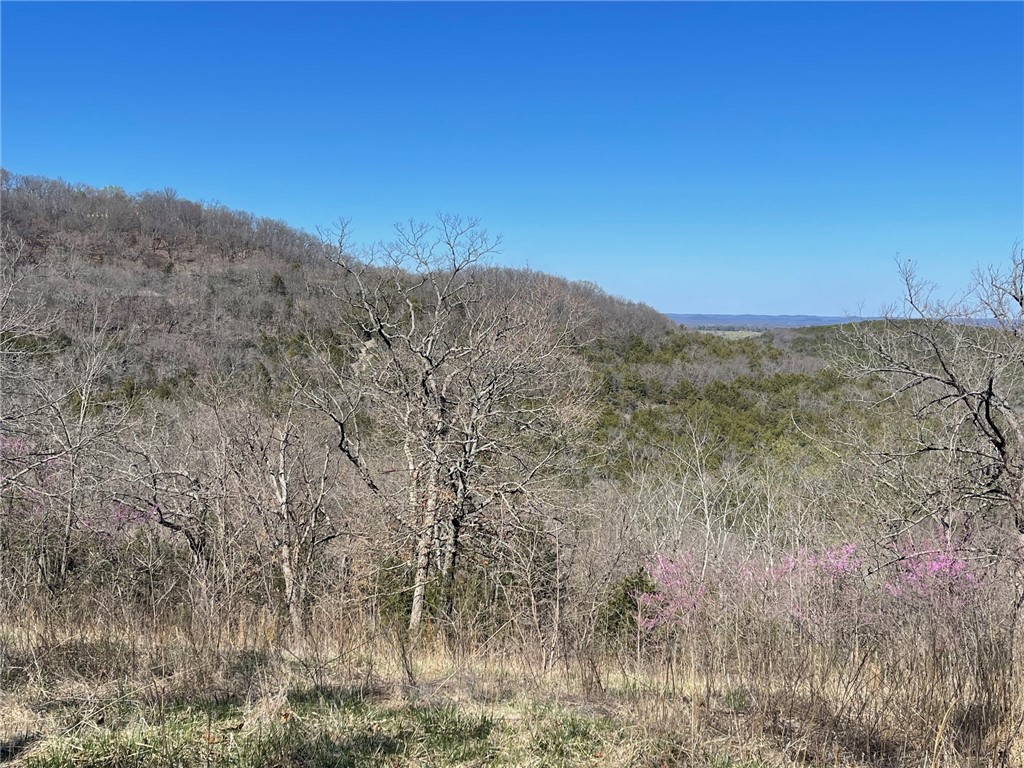 Mo Ark View Estates - Land