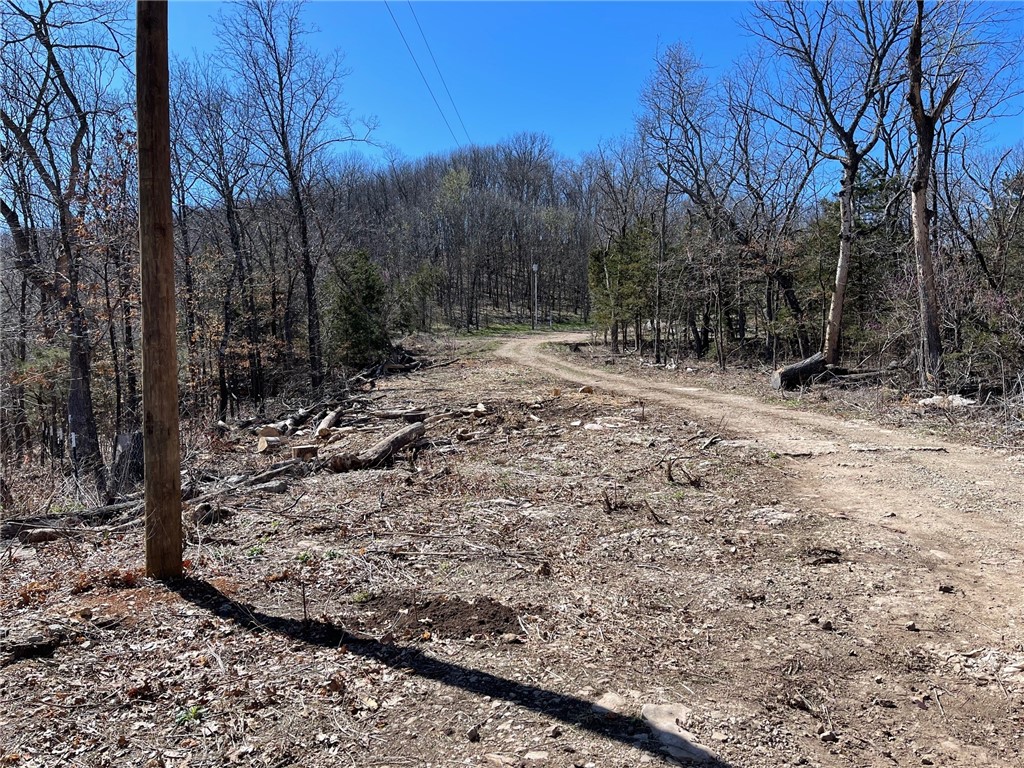 Mo Ark View Estates - Land