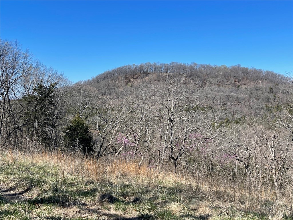 Mo Ark View Estates - Land