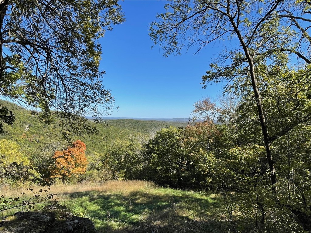 Mo Ark View Estates - Land