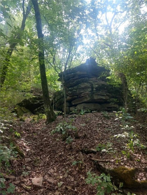 Mo Ark View Estates - Land