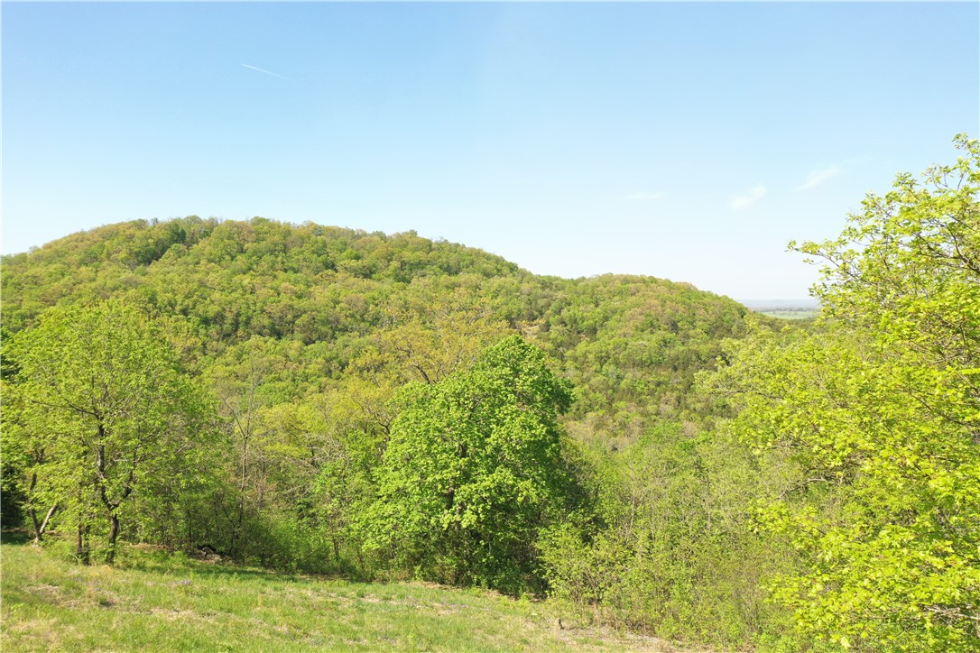 Mo Ark View Estates - Land