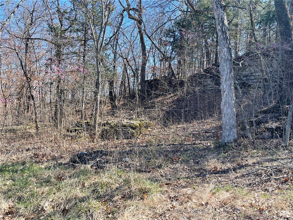 Mo Ark View Estates - Land