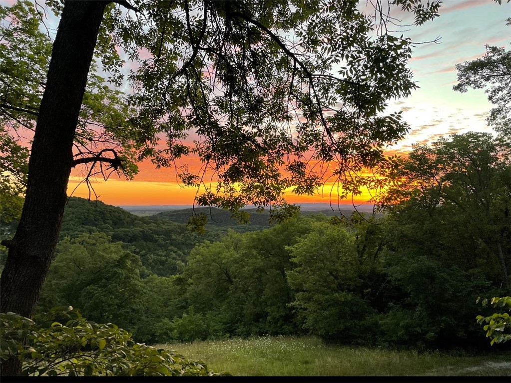 Mo Ark View Estates - Land