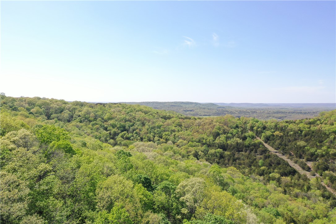 Mo Ark View Estates - Land