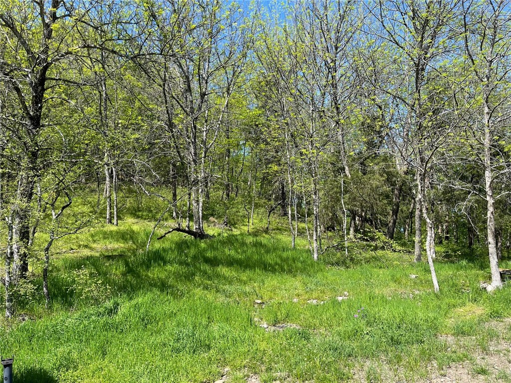 Mo Ark View Estates - Land