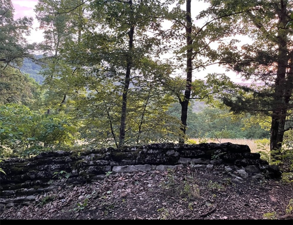 Mo Ark View Estates - Land