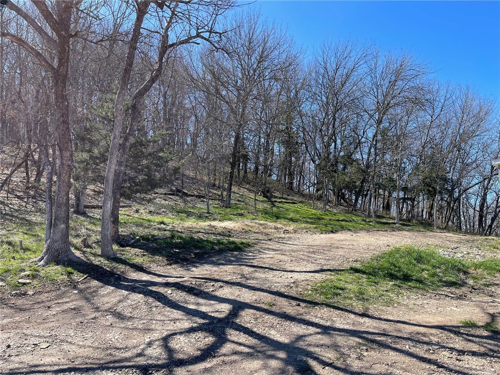 Mo Ark View Estates - Land