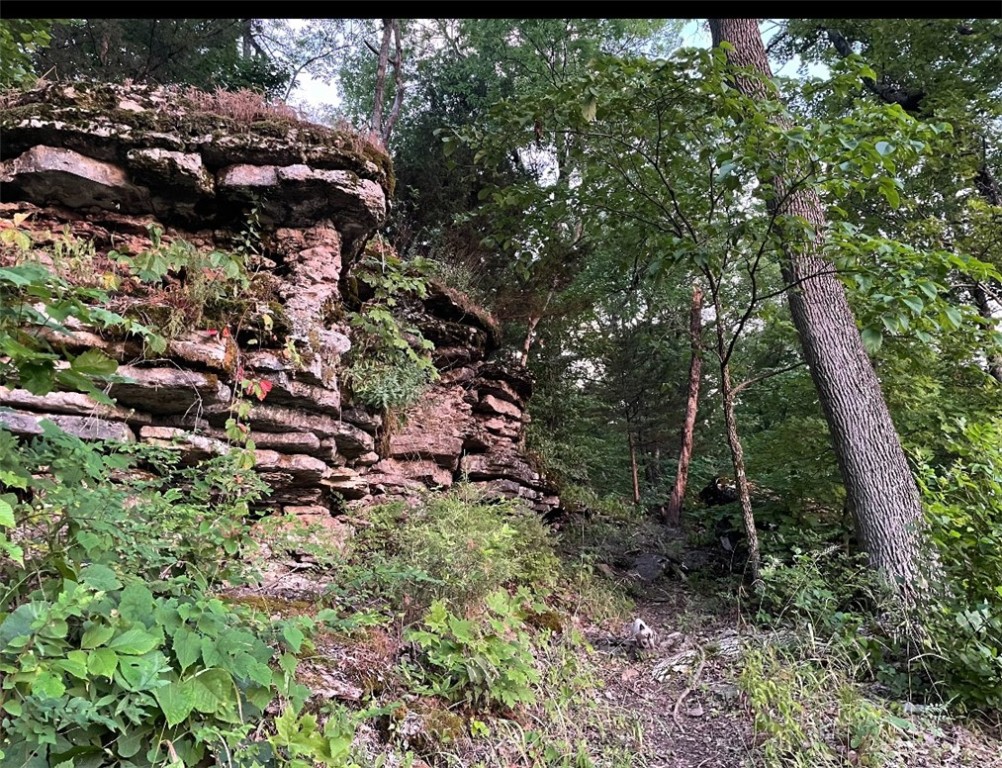 Mo Ark View Estates - Land