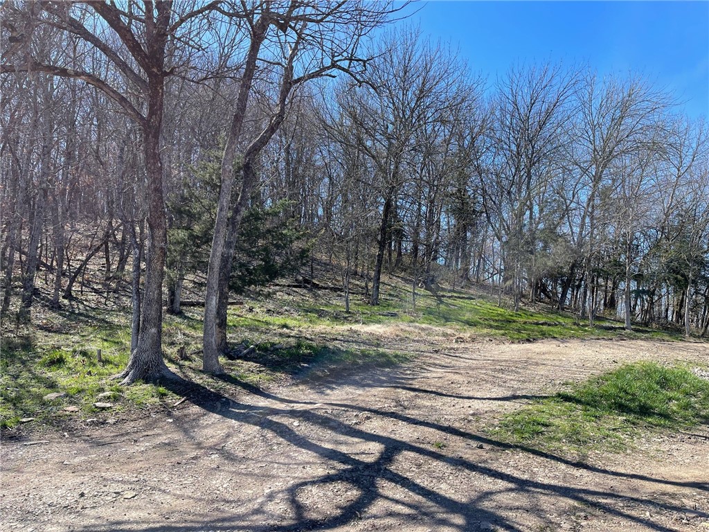 Mo Ark View Estates - Land