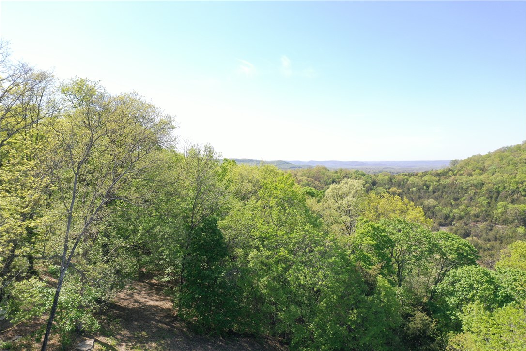 Mo Ark View Estates - Land