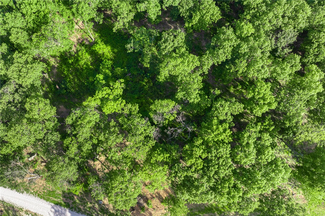 Round Mountain Estates - Land