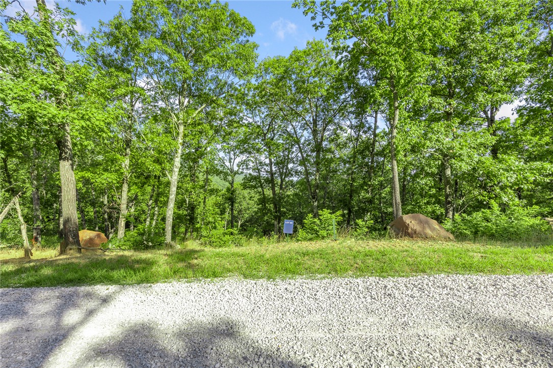 Round Mountain Estates - Land