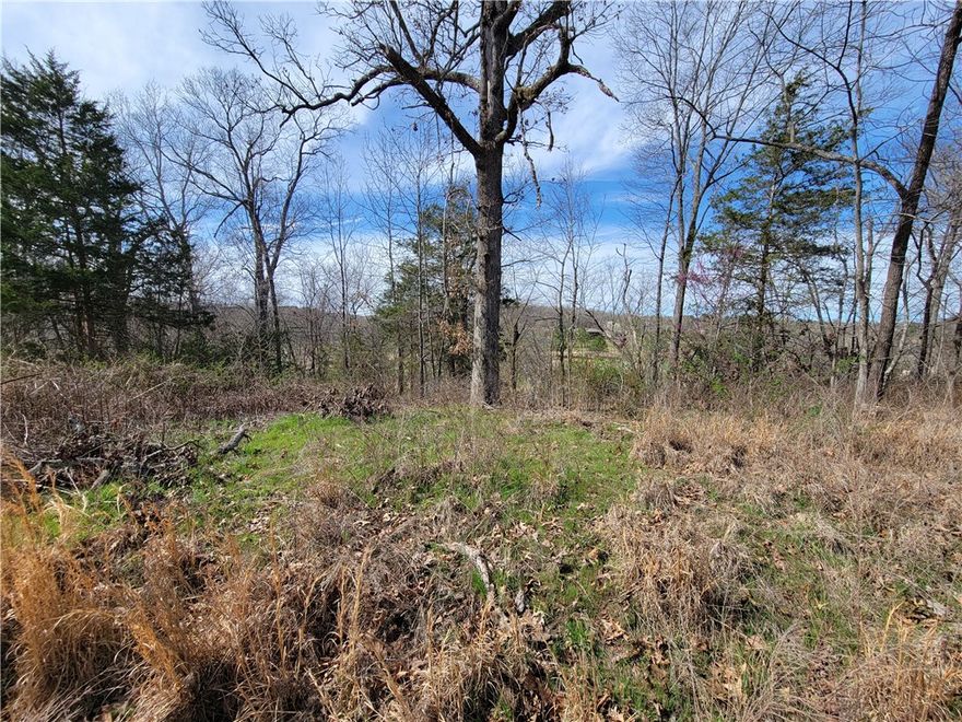 This lot adjoins two other lots on Scalloway that are listed by the same agent, but owned by a different seller.  Purchasing all three lots would result in almost an acre of land with an incredible view of the Scotsdale golf course.  This lot is also located just across the road from access to the Tunnel Vision trail.  Go check out this lot to see what golf course-view living with immediate mountain bike trail access would look like.