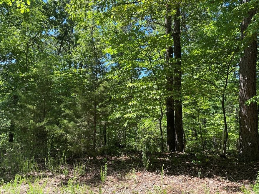 Discover the perfect opportunity to build your dream home or invest in a piece of beautiful Bella Vista! This 0.39-acre lot is nestled at the end of a cul-de-sac in the heart of Bella Vista, offering privacy, natural beauty and endless potential. The gently sloping terrain can be ideal for various home designs, while being close to all the amenities Bella Vista has to offer!