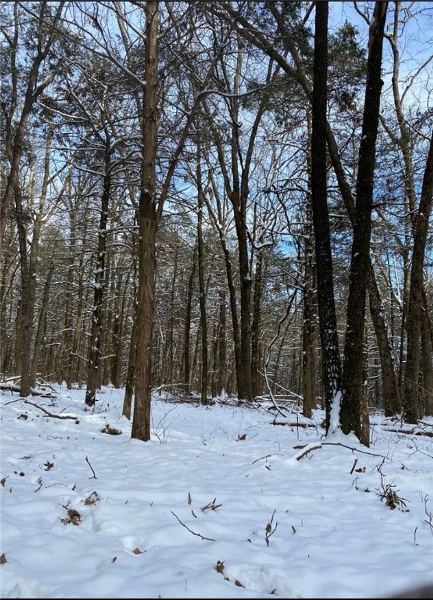 Discover the perfect canvas for your dream home on this stunning 10.21-acre parcel located on scenic Crow Mountain within the Pottsville School District. This expansive property offers a mostly level landscape with a gentle slope, making it ideal for building while still providing natural character and excellent drainage. Enjoy the peace and privacy of mountain living without sacrificing convenience. The setting offers tranquility, fresh air, and room to roam, all within minutes from town. Take note that this property is currently two parcels but being sold as one. Approximately 10.21 acres from county data tax records.