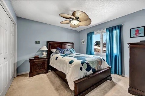 Dunedin - Residential Lease