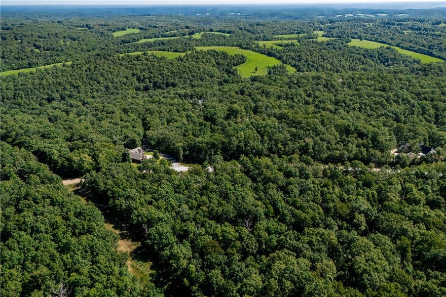 Yes, it’s true—1.59 wooded acres in Bella Vista can be yours. Tucked back in The Highlands and bordered by Edinburg Drive, this parcel offers a private setting with easy access to the main road. Enjoy nearby amenities like Branchwood Rec Center, fitness options, and several golf courses. A rare opportunity to spread out and build in a peaceful part of town.