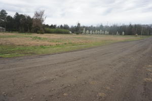 Other Subdivision - Land