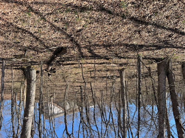 Unit 7 Holiday Island - Land