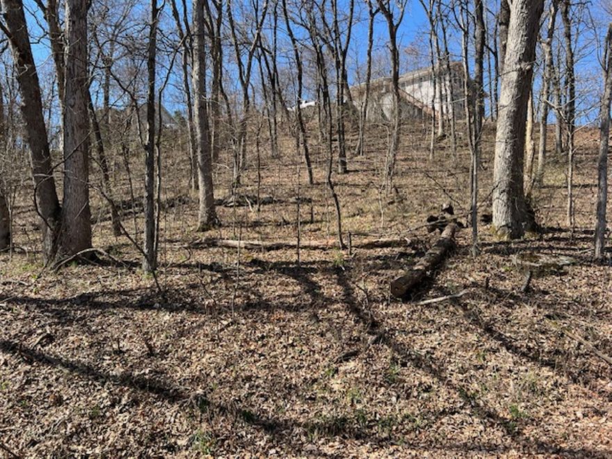 Very nice buildable lot that includes just shy of half an acres at 0.45 acres.  Tree covered lot that slopes uphill make for a great place to build with a basement garage entry.  Nice valley views from this location.  Close to amenities that include 2 golf courses, country club, marina, fishing docks, recreation center, swimming pools, parks, walking trails and more.  Call today for a tour.