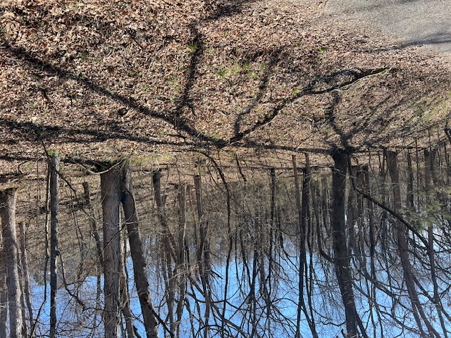 Unit 7 Holiday Island - Land