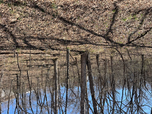 Unit 7 Holiday Island - Land