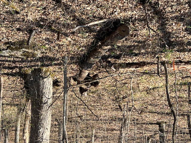 Unit 7 Holiday Island - Land